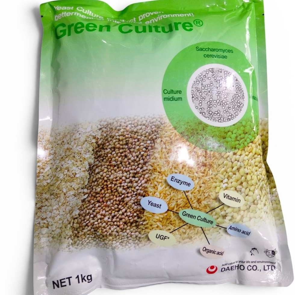 green yeast
